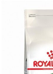 Royal Canin Outdoor 2kg 6