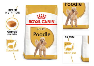 Royal Canin PUDEL - 1,5kg 3