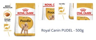 Royal Canin PUDEL - 500g 1