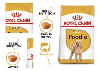 Royal Canin PUDEL - 500g 4