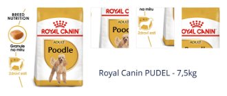 Royal Canin PUDEL - 7,5kg 1