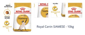 Royal Canin SIAMESE - 10kg 1