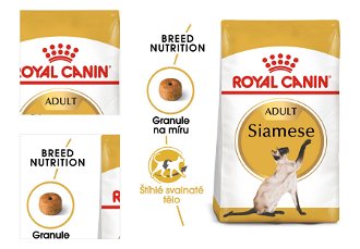 Royal Canin SIAMESE - 10kg 4