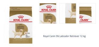Royal Canin SN Labrador Retriever 12 kg 1