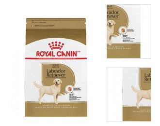 Royal Canin SN Labrador Retriever 12 kg 3