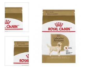 Royal Canin SN Labrador Retriever 12 kg 4