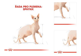 Royal Canin SPHYNX - 10kg 3
