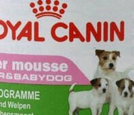 Royal Canin Starter MOUSSE 195 g 5