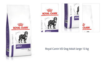 Royal Canin VD Dog Adult large 13 kg 1