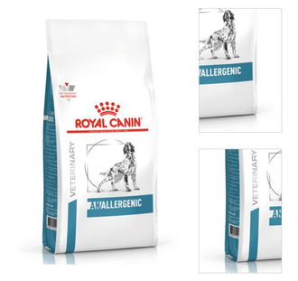 Royal Canin VD Dog Anallergenic 8 kg 3