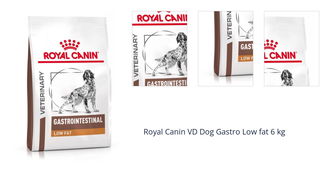 Royal Canin VD Dog Gastro Low fat 6 kg 1