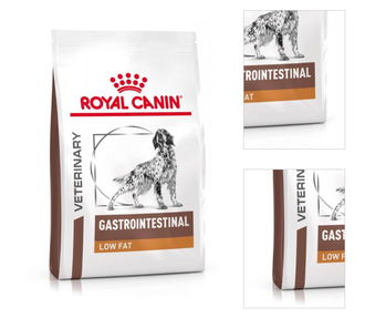 Royal Canin VD Dog Gastro Low fat 6 kg 3