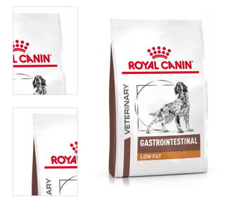 Royal Canin VD Dog Gastro Low fat 6 kg 4