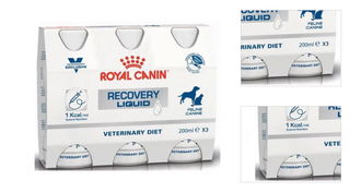 Royal Canin VD Dog Recovery Liquid 3 x 0,2 l 3