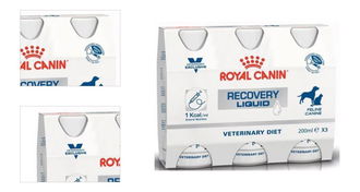 Royal Canin VD Dog Recovery Liquid 3 x 0,2 l 4