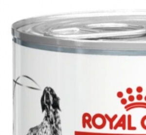 Royal Canin VD Dog Renal 200 g 6