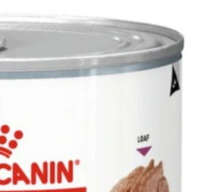 Royal Canin VD Dog Renal 200 g 7