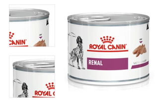 Royal Canin VD Dog Renal 200 g 4