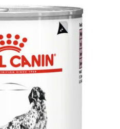 Royal Canin Veterinárna zdravotná výživa Dog konzerva Renal 410 g 7