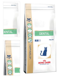 Royal Canin Veterinary Diet Cat DENTAL - 1,5kg 4
