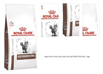 Royal Canin Veterinary Diet Cat GASTROINTESTINAL - 2kg 1