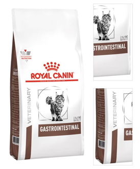 Royal Canin Veterinary Diet Cat GASTROINTESTINAL - 2kg 3