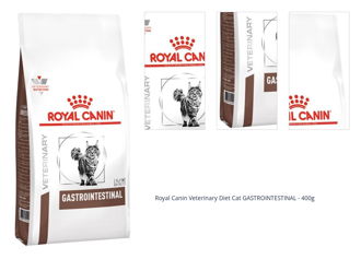 Royal Canin Veterinary Diet Cat GASTROINTESTINAL - 400g 1