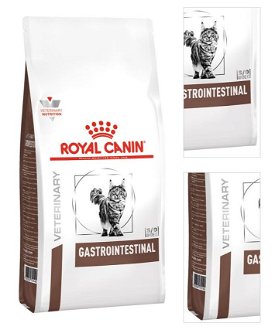 Royal Canin Veterinary Diet Cat GASTROINTESTINAL - 4kg 3