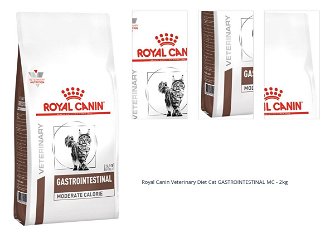 Royal Canin Veterinary Diet Cat GASTROINTESTINAL MC - 2kg 1