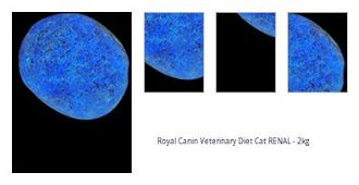 Royal Canin Veterinary Diet Cat RENAL - 2kg 1