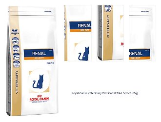 Royal Canin Veterinary Diet Cat RENAL Select - 2kg 1