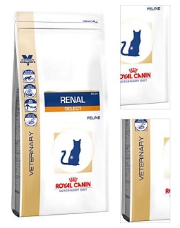 Royal Canin Veterinary Diet Cat RENAL Select - 2kg 3