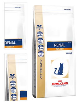Royal Canin Veterinary Diet Cat RENAL Select - 2kg 4