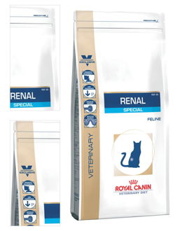 Royal Canin Veterinary Diet Cat RENAL Special - 0,4kg 4