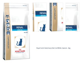 Royal Canin Veterinary Diet Cat RENAL Special - 2kg 1