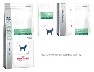Royal Canin Veterinary Diet Dog DENTAL Small - 2kg 1