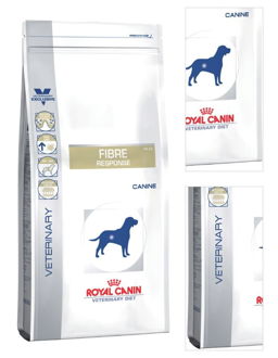 Royal Canin Veterinary Diet Dog FIBRE RESPONSE - 2kg 3