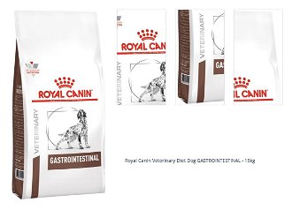 Royal Canin Veterinary Diet Dog GASTROINTESTINAL - 15kg 1