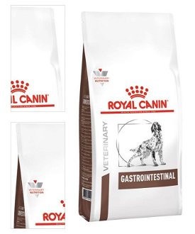 Royal Canin Veterinary Diet Dog GASTROINTESTINAL - 15kg 4