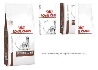 Royal Canin Veterinary Diet Dog GASTROINTESTINAL - 2kg 1