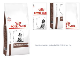 Royal Canin Veterinary Diet Dog GASTROINTESTINAL JUN. - 1kg 1