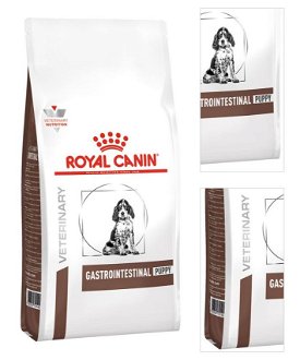 Royal Canin Veterinary Diet Dog GASTROINTESTINAL JUN. - 2,5kg 3