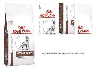 Royal Canin Veterinary Diet Dog GASTROINTESTINAL LF - 12kg 1