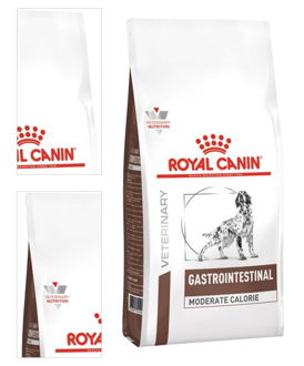 Royal Canin Veterinary Diet Dog GASTROINTESTINAL MC - 15kg 4
