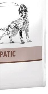 Royal Canin Veterinary Diet Dog HEPATIC - 12kg 9