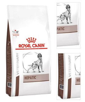 Royal Canin Veterinary Diet Dog HEPATIC - 6kg 3