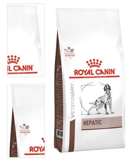 Royal Canin Veterinary Diet Dog HEPATIC - 7kg 4