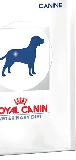 Royal Canin Veterinary Diet Dog RENAL - 14kg 9