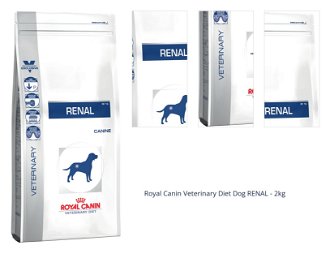 Royal Canin Veterinary Diet Dog RENAL - 2kg 1