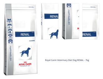 Royal Canin Veterinary Diet Dog RENAL - 7kg 1